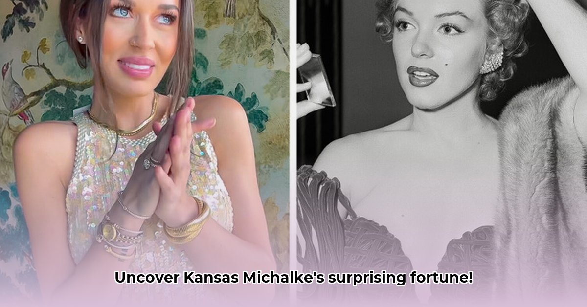 kansas-michalke-net-worth